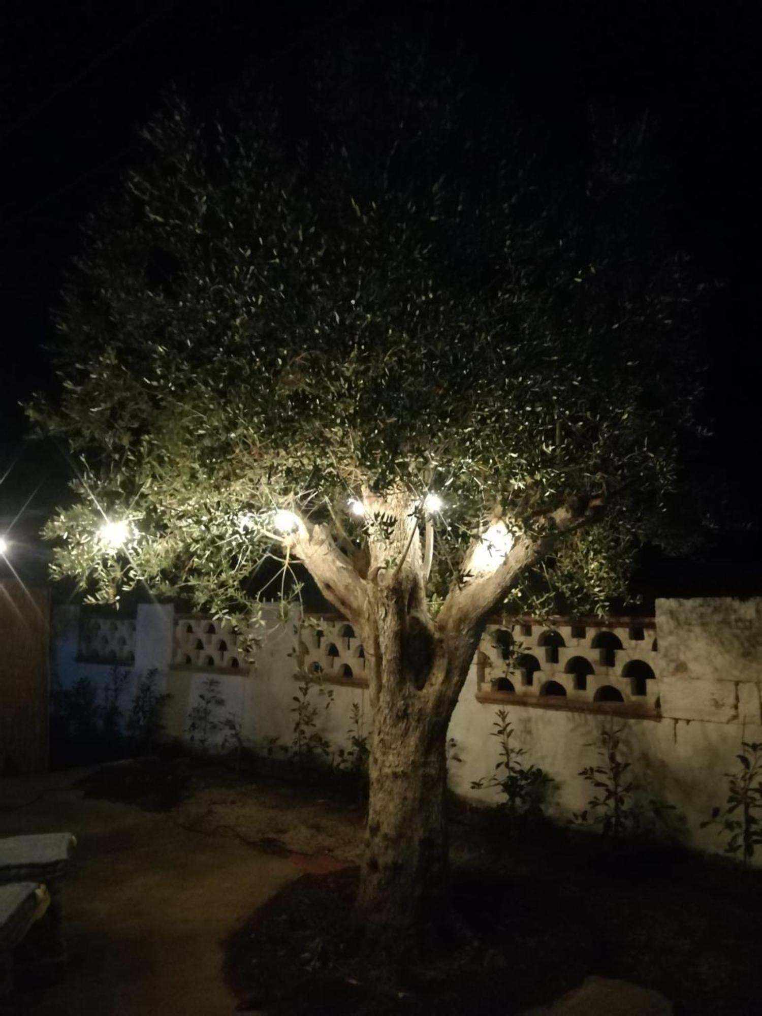 Villa Rebecca Nardò المظهر الخارجي الصورة